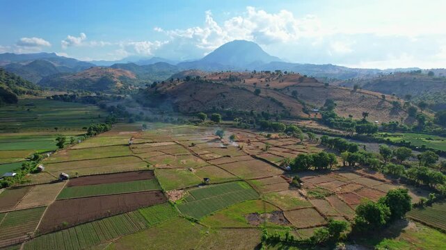 Aerial drone footage of a vast red onion multicolor field area, in a canyon, on the coast of Sai village, in Bima regency, Sumbawa island, Indonesia, with Doro Oromboha mountain in the back