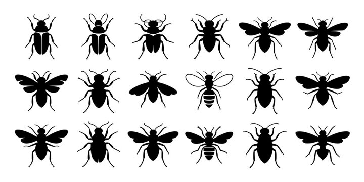 Insects silhouette set with various shapes and sizes in black and white featuring bugs, beetles, flies with bees and wasps elements for ants, graphic