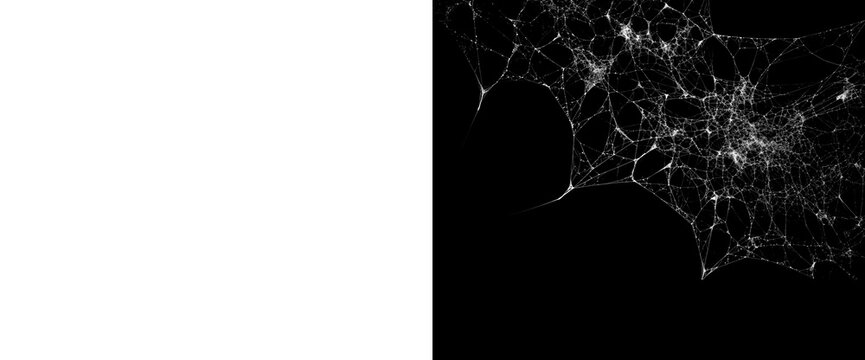 Messy spider web isolated on transparent background with alpha channel mask for digital compositing projects creating realistic creepy halloween decorations and settings.