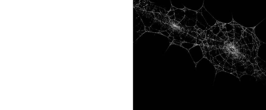 Abstract spiderweb clusters and strands on transparent background creating intricate patterns for artistic and design purposes.