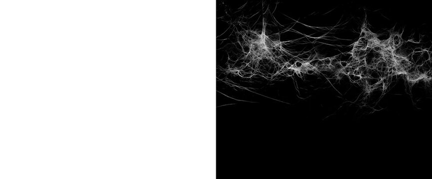 Horizontal stretch of white spider web with intricate and tangled fibers on a transparent background and alpha matte.