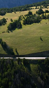 Vertical Screen: Beartooth Highway in Montana USA with vehicles traveling along scenic mountain road surrounded by lush green meadows and pine forests in summer sunlight.