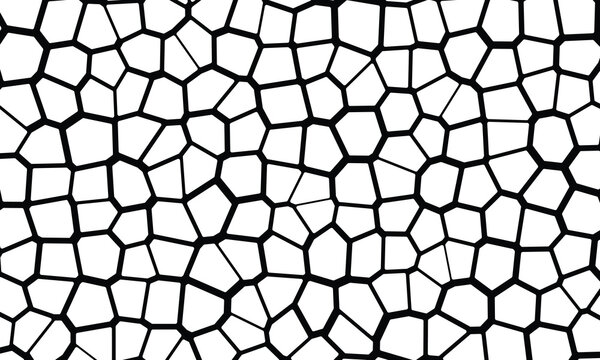 Black and white voronoi diagram pattern with irregular polygonal cells voronoi pattern abstract background