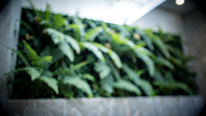 Obraz premium Tranquil vertical garden wall creating a serene modern indoor atmosphere
