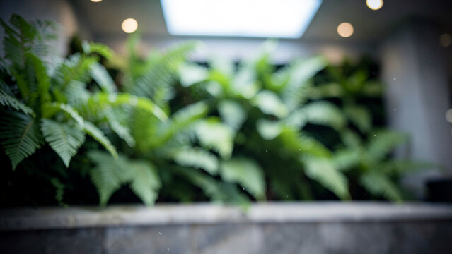 Vibrant green ferns providing natural texture in a modern spa setting