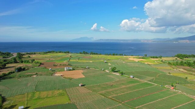 Aerial drone footage of a vast red onion field area, nearby the blue sea, with farmer huts, on the coast of Sai village, with Bima area at the horizon, in Sumbawa island, Indonesia, sunny weather