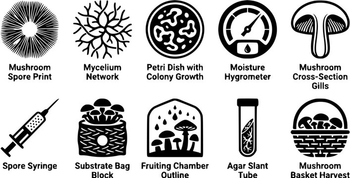 Set of ten mushroom cultivation icons illustrating the mycological process including spore prints, mycelium and laboratory equipment