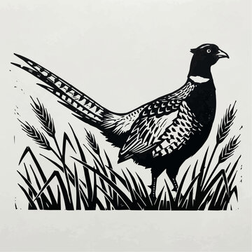 "Black and White Pheasant Bird in Grass Field Linocut Style Illustration on White Background"