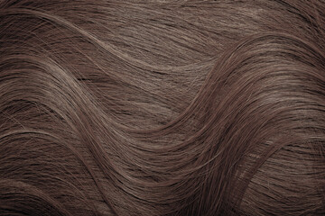 Fototapeta premium Brown hair close-up as a background. Women's long brown hair. Beautifully styled wavy shiny curls. Hair coloring. Hairdressing procedures, extension.