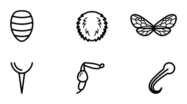 Bee Anatomy Icons, Insect Body Parts Vector Graphics, Entomology Study Elements