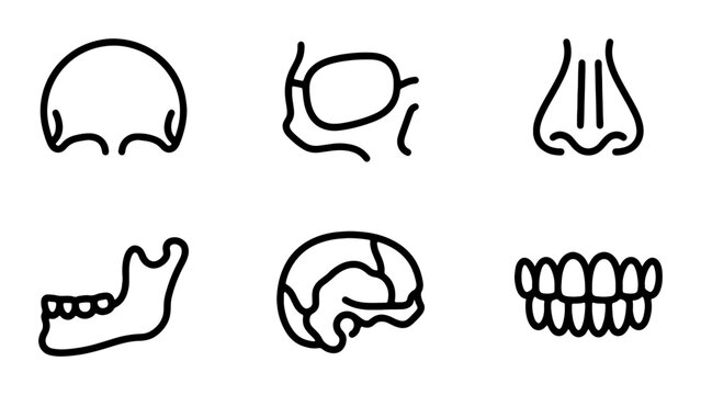 Minimalist Human Anatomy Icons: Skull, Brain, Nose, Jaw, Teeth, Eye Socket Vector Set