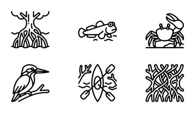 Mangrove Ecosystem Icons: Mudskipper, Crab, Kingfisher, Kayak, Roots, 6 Vector Elements