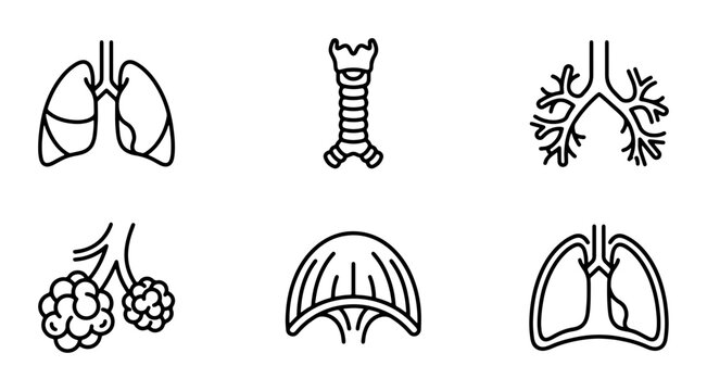 Respiratory System Icons: Lungs, Trachea, Bronchi, Alveoli, Diaphragm, Medical Illustration