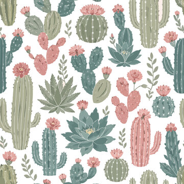 Colorful cactus and succulent illustration pattern