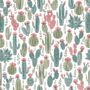 Colorful cactus pattern with pink flowers on light background
