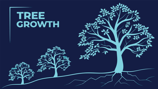Tree growth phases showing development from small seedling to large mature tree as a vector illustration with development