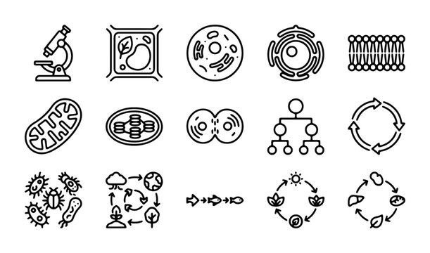 Biology Icons Set: Cell Structures, Microorganisms, Cycles, Microscope, Plant Cell, Mitochondria
