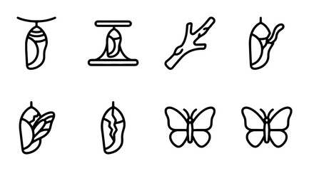 Butterfly Metamorphosis Icons: Chrysalis, Pupa, Emerging Insect, Life Cycle Stages, Vector Set © Jim