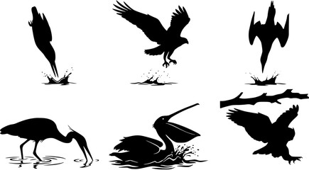 Naklejka premium Set of wild bird silhouettes including hunting eagles, diving seabirds, and a fishing pelican