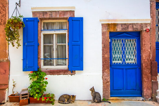 Ayvalik - Turkey, May 17, 2026, Two Cute Cats by Vibrant Blue Door and Shutters of Traditional Cunda Island House