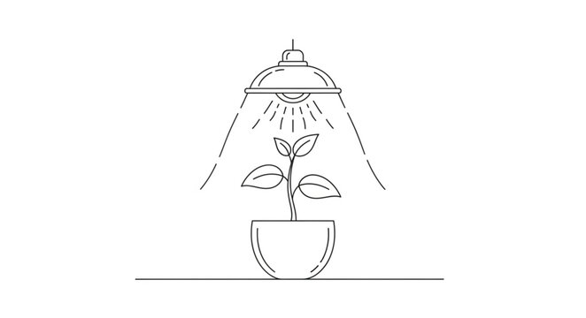 A plant grows under a shower head with water droplets.