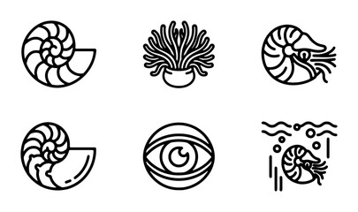 Fototapeta premium Nautilus Shell Icons, Sea Anemone, Eye Symbol, Ocean Life Vector Graphics Set
