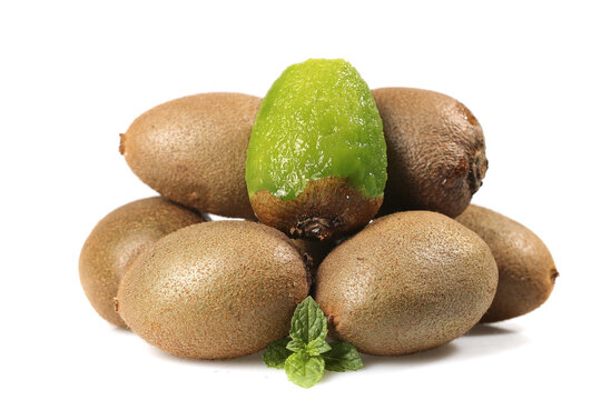 Fresh Kiwifruit Still Life with Green Flesh Exposed on White Background