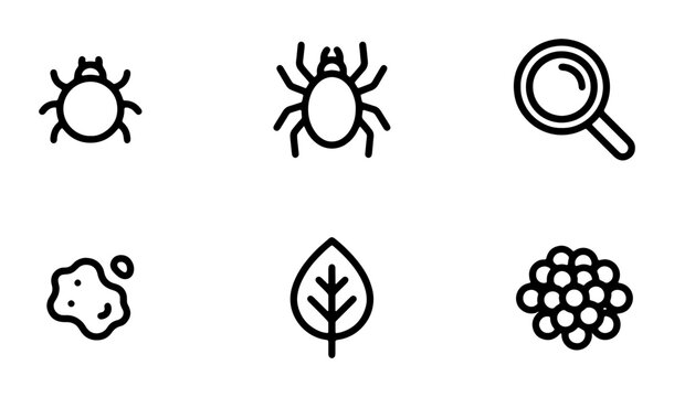 Insect and Pest Control Icons, Magnifying Glass, Leaf, and Biology Symbols Set