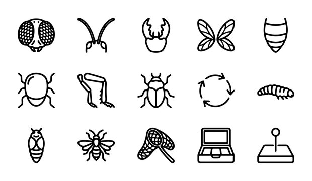 Insect Icons Collection, Vector Graphics for Entomology and Nature Studies, Simple Line Art