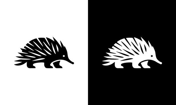 Minimalist echidna spiny ante...