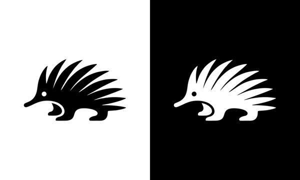 Minimalist echidna spiny ante...