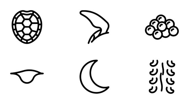 Six Simple Line Icons: Turtle Shell, Bird Talon, Roe, Lips, Crescent Moon, DNA Strand