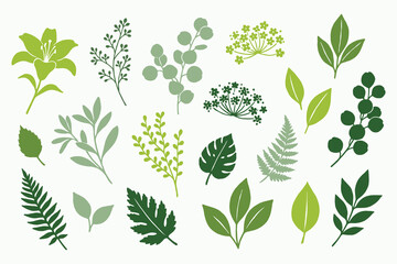 Botanical Leaf Illustration Collection with Green Foliage and Herbal Plant Elements for Nature Graphic Design Projects © Joy