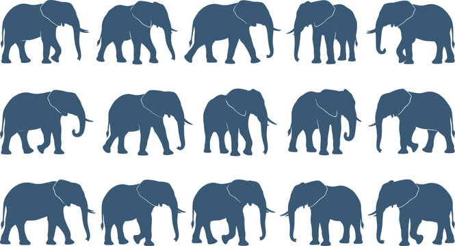 Elephant Silhouette Collection with Wildlife Safari Animal Icons for Nature Conservation and Graphic Design Projects