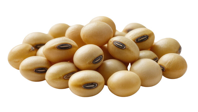Pile of dried soybeans with visible hilum detail