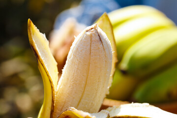 Fresh Banana and Plantain Fruits from Guangxi China Still Life Display © HoangNam