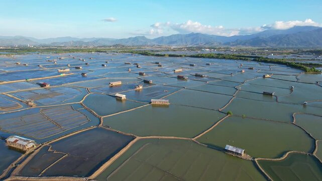 Aerial close up drone footage of a vast greenish salt pond field valley, with mosaic shapes, in Sila area, Sumbawa island, Indonesia, at golden sunset, and bush lines, farmer huts, mountains