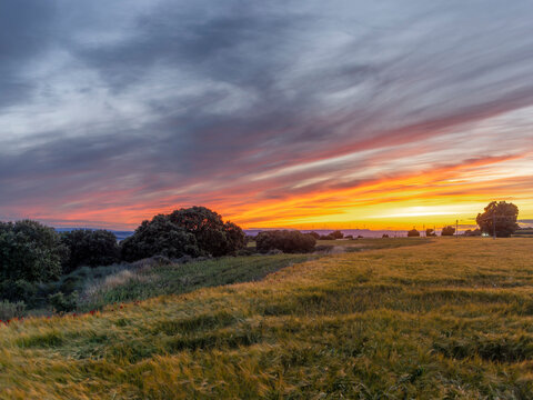 Vibrant and dramatic sunset over a rural field with trees under a colorful cloudy sky.