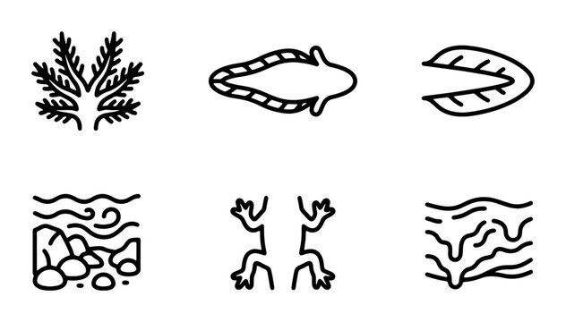 Minimalist Aquatic Life Icons Set, Simple Ocean Flora and Fauna Vector Graphics