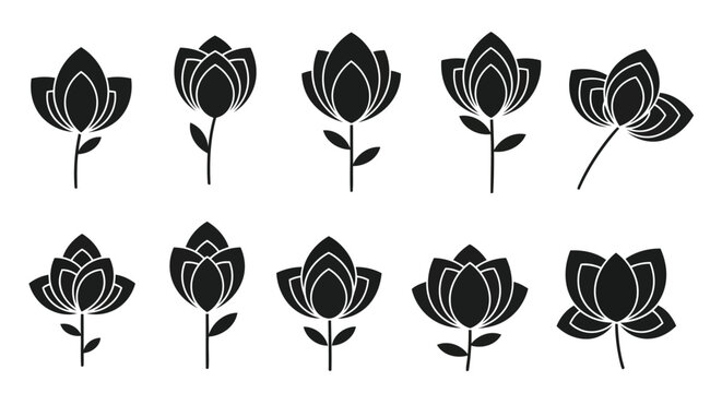 Black roses set with white details