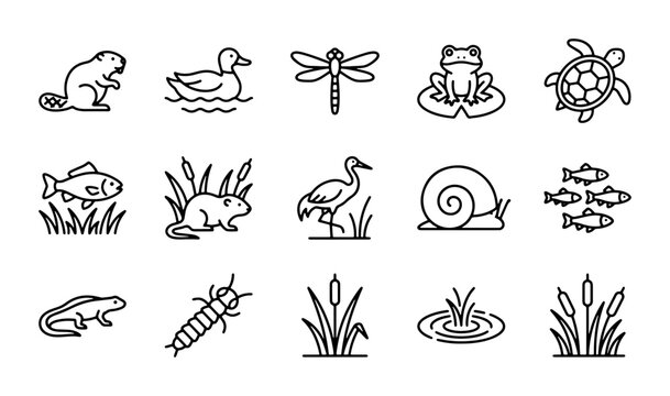 Pond Life Icons: Beaver, Duck, Dragonfly, Frog, Turtle, Fish, Crane, Snail, Lizard, Insect Larva, Cattail, Water Lily