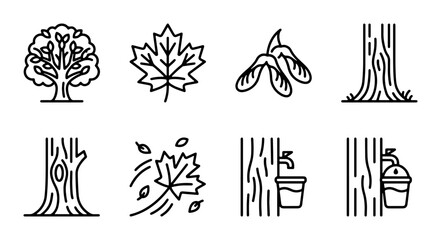 Maple Tree Icons, Autumn Leaves, Seeds, and Sap Collection Vector Set © Abdul