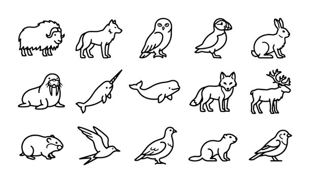 Arctic Wildlife Icons Set: Musk Ox, Fox, Rabbit, Narwhal, Walrus, Birds, Vector Graphics