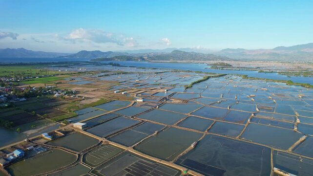 Aerial drone footage of a vast greenish salt pond field valley, with mosaic shapes, in Sila area, Sumbawa island, Indonesia, at golden sunset, and rice fields, farmer huts, mountains and sea bay