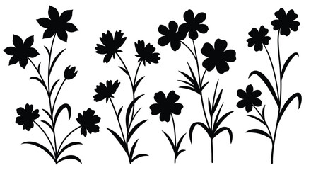 Fototapeta premium Black silhouette of wildflowers on white