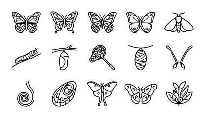 Butterfly and Moth Life Cycle Icons, Insect Metamorphosis Vector Set, Nature Entomology Illustrations © Ziaur