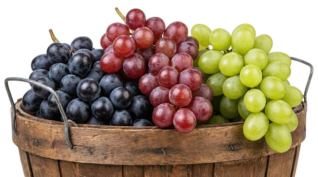 Fresh grapes harvested in a rustic wooden basket high-resolution png nature vibrant colors close-up view