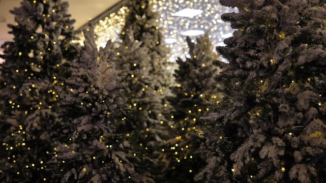 Snowy christmas trees decorating an indoor area with glowing string lights and bokeh