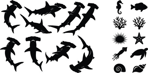 Hammerhead sharks black silhouettes set with various marine life elements sea turtle coral starfish and shells vector illustration © Mst Shamima