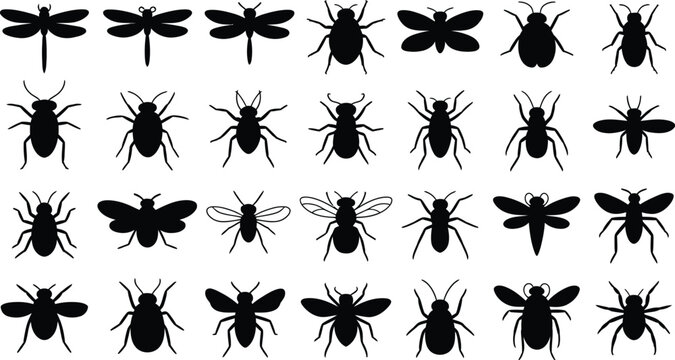 Collection of thirty black silhouette insect icons featuring various beetles and flying bugs